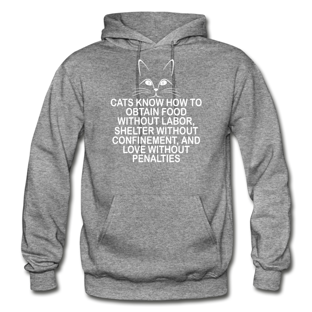 Cats Know - White - Gildan Heavy Blend Adult Hoodie - graphite heather