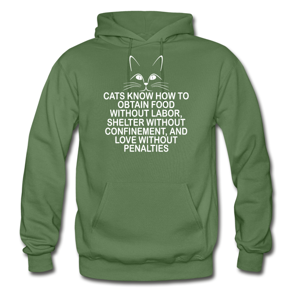 Cats Know - White - Gildan Heavy Blend Adult Hoodie - military green