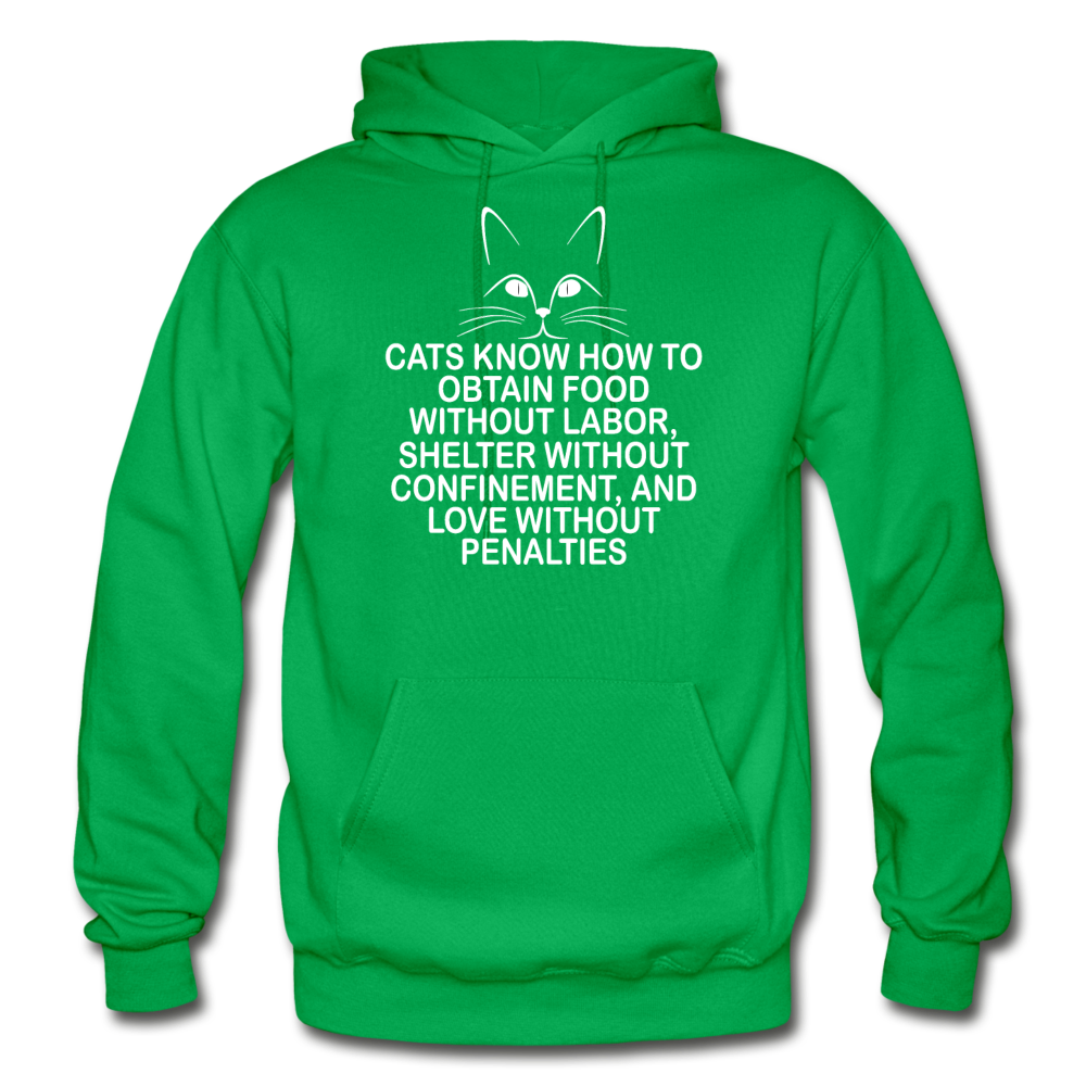 Cats Know - White - Gildan Heavy Blend Adult Hoodie - kelly green