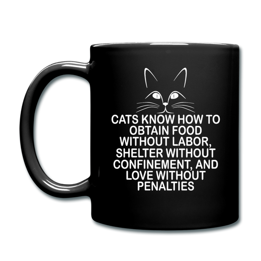 Cats Know - White - Full Color Mug - black