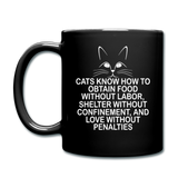 Cats Know - White - Full Color Mug - black