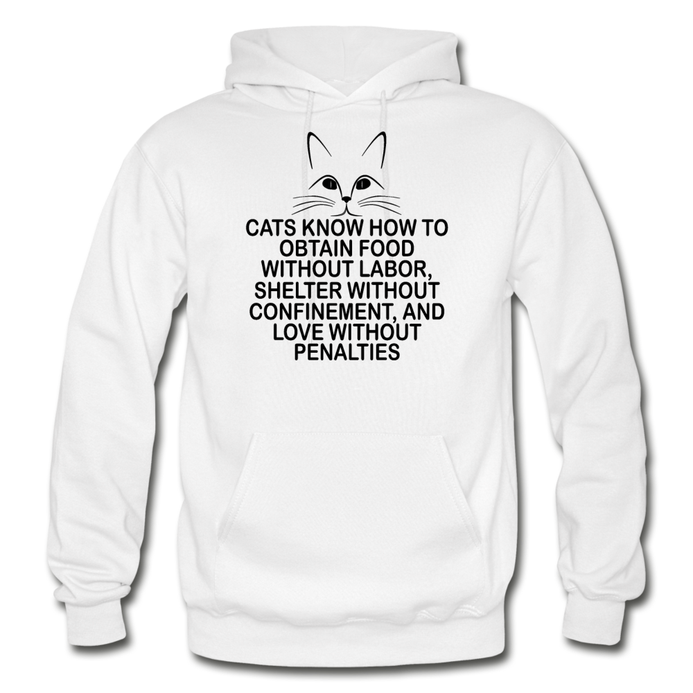 Cats Know - Black - Gildan Heavy Blend Adult Hoodie - white