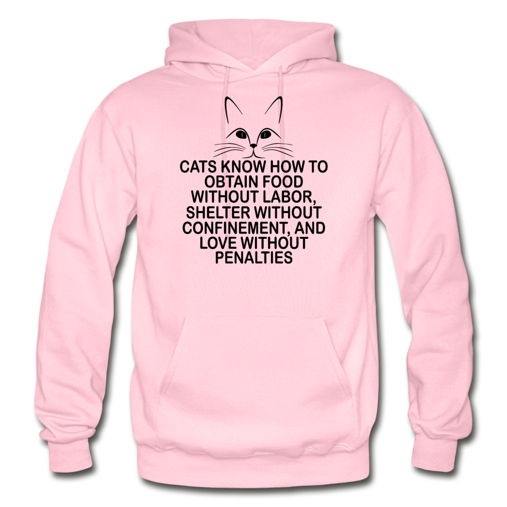 Cats Know - Black - Gildan Heavy Blend Adult Hoodie - light pink