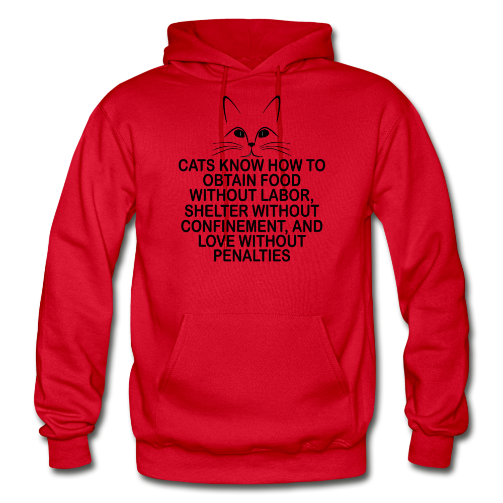 Cats Know - Black - Gildan Heavy Blend Adult Hoodie - red