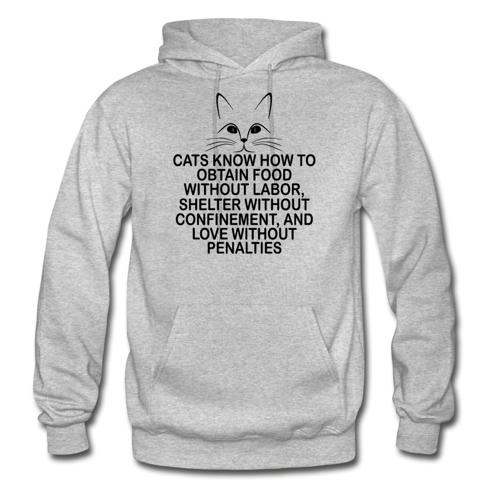 Cats Know - Black - Gildan Heavy Blend Adult Hoodie - heather gray