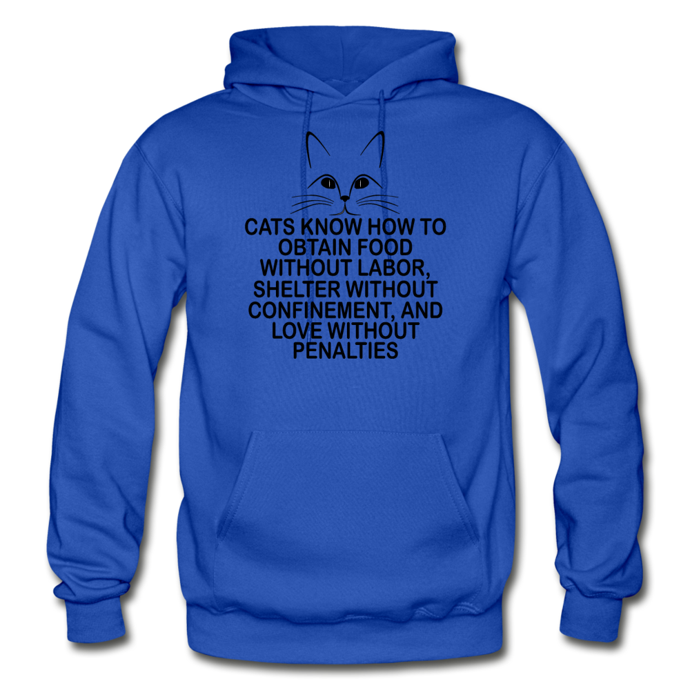 Cats Know - Black - Gildan Heavy Blend Adult Hoodie - royal blue