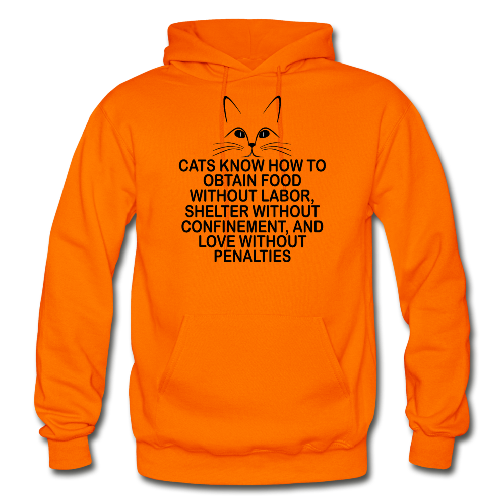 Cats Know - Black - Gildan Heavy Blend Adult Hoodie - orange