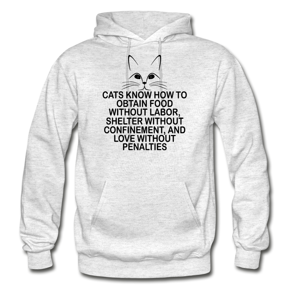 Cats Know - Black - Gildan Heavy Blend Adult Hoodie - light heather gray