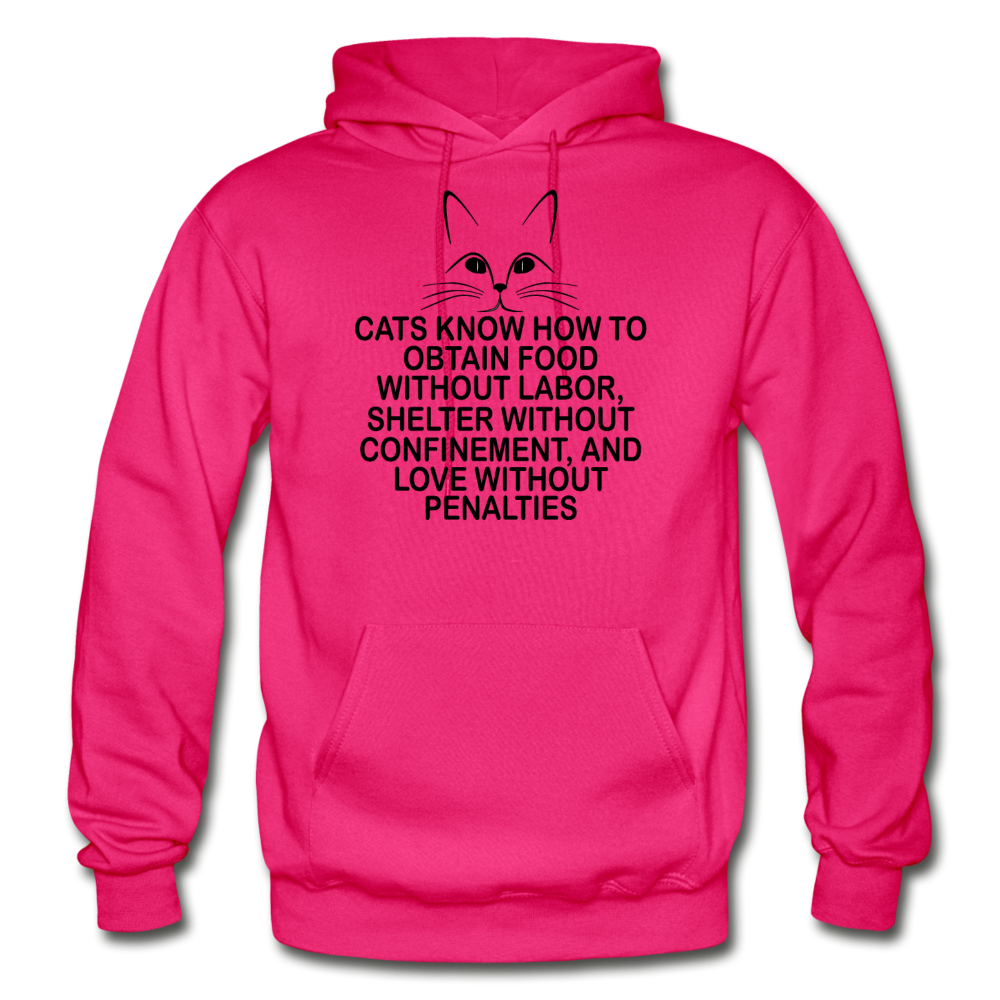 Cats Know - Black - Gildan Heavy Blend Adult Hoodie - fuchsia