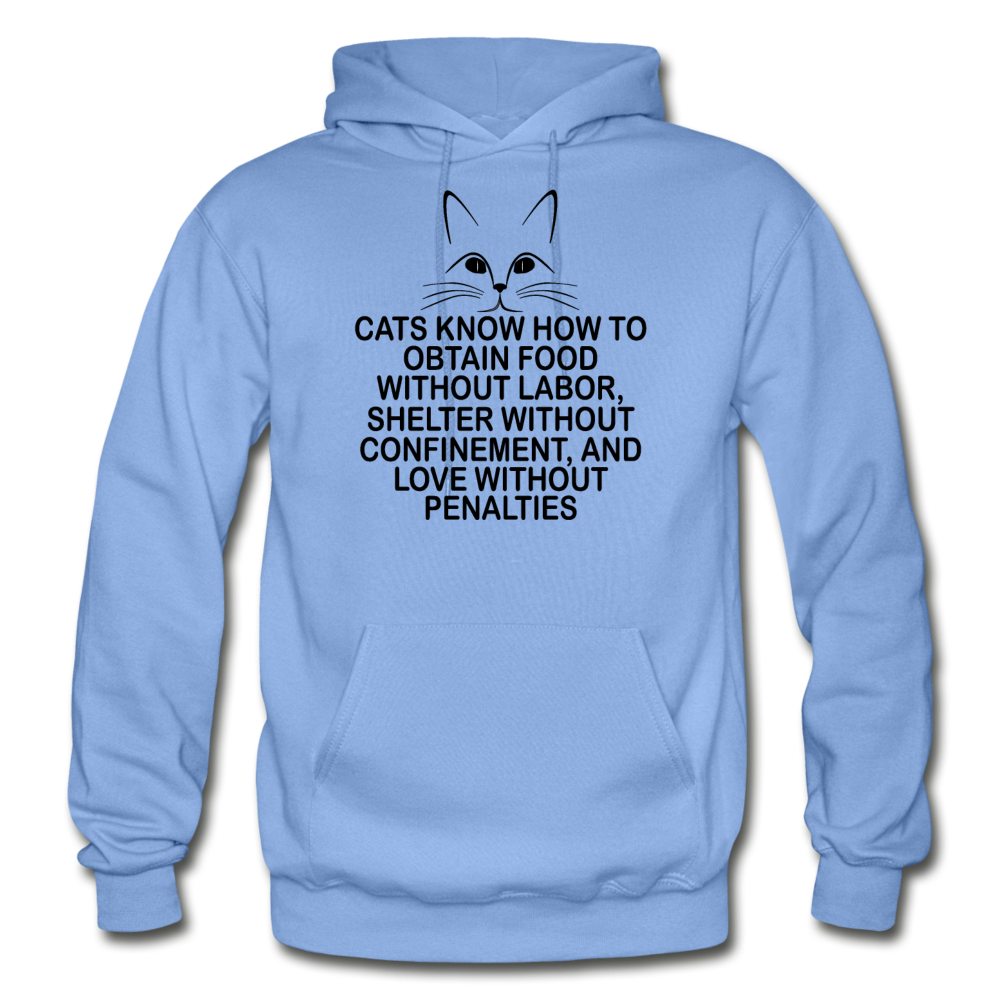 Cats Know - Black - Gildan Heavy Blend Adult Hoodie - carolina blue