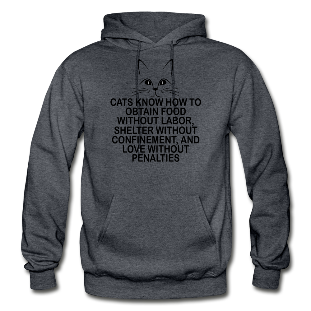 Cats Know - Black - Gildan Heavy Blend Adult Hoodie - charcoal gray