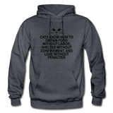 Cats Know - Black - Gildan Heavy Blend Adult Hoodie - charcoal gray