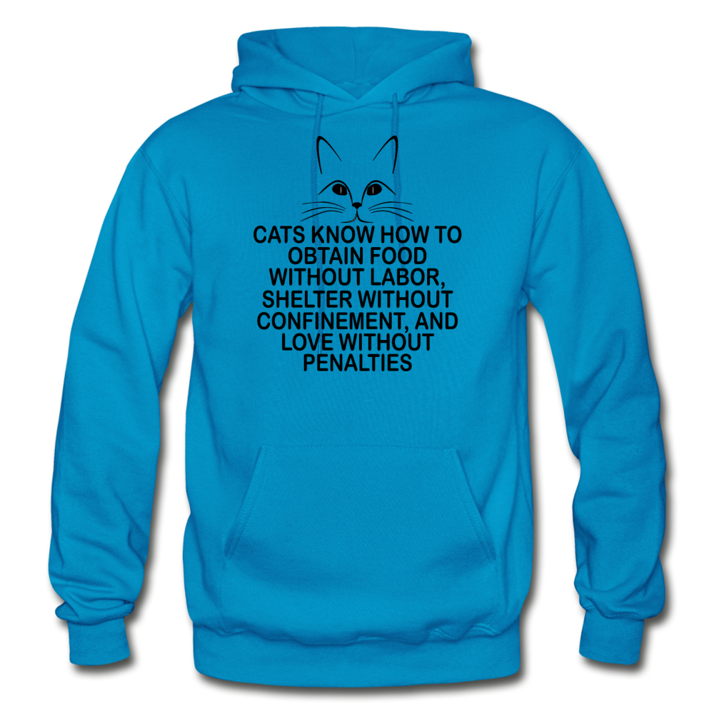 Cats Know - Black - Gildan Heavy Blend Adult Hoodie - turquoise