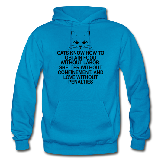 Cats Know - Black - Gildan Heavy Blend Adult Hoodie - turquoise