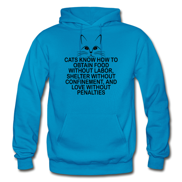 Cats Know - Black - Gildan Heavy Blend Adult Hoodie - turquoise