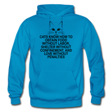 Cats Know - Black - Gildan Heavy Blend Adult Hoodie - turquoise