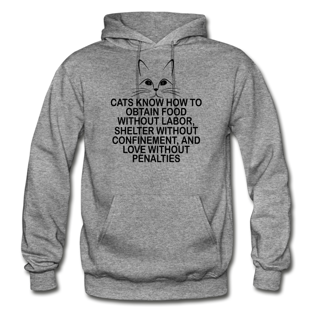 Cats Know - Black - Gildan Heavy Blend Adult Hoodie - graphite heather