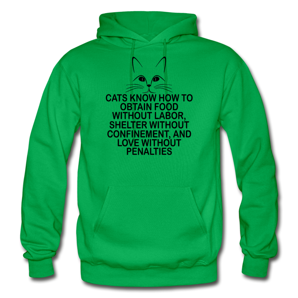 Cats Know - Black - Gildan Heavy Blend Adult Hoodie - kelly green