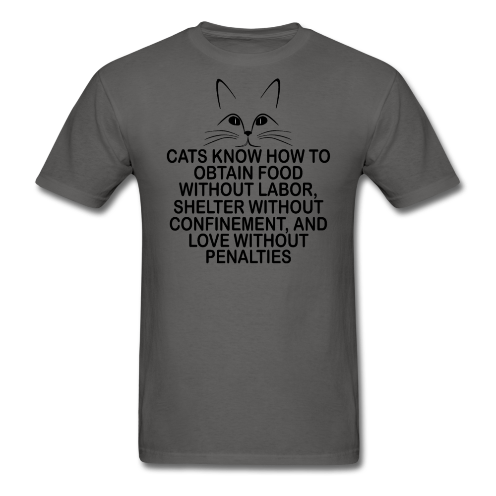 Cats Know - Black - Unisex Classic T-Shirt - charcoal