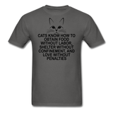 Cats Know - Black - Unisex Classic T-Shirt - charcoal