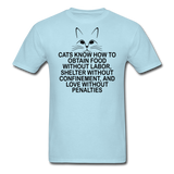 Cats Know - Black - Unisex Classic T-Shirt - powder blue