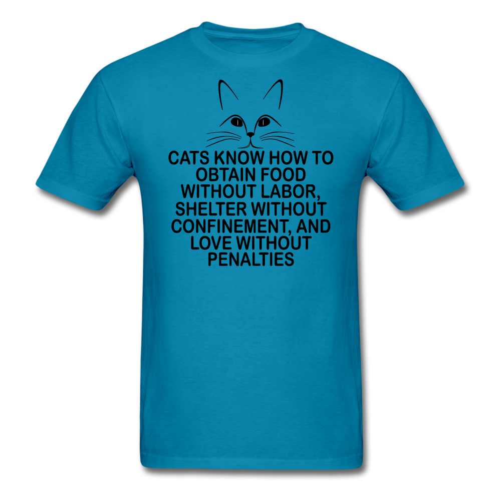 Cats Know - Black - Unisex Classic T-Shirt - turquoise