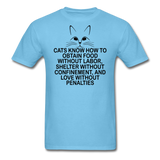 Cats Know - Black - Unisex Classic T-Shirt - aquatic blue
