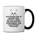 Cats Know - Black - Contrast Coffee Mug - white/black