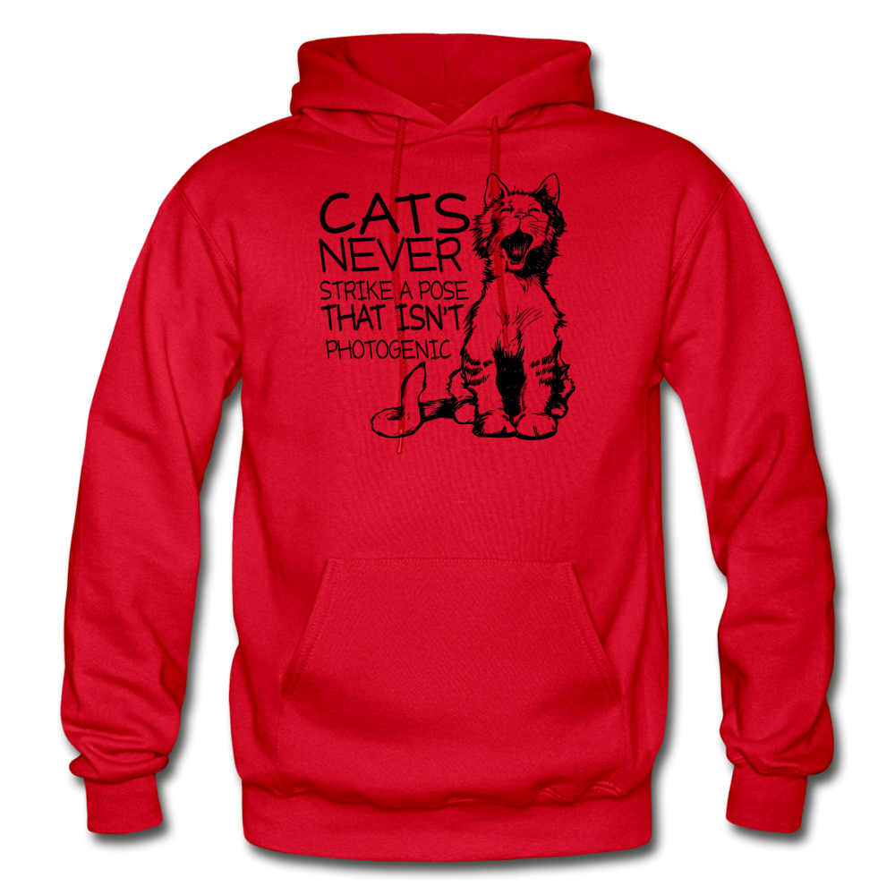 Cats - Photogenic - Black - Gildan Heavy Blend Adult Hoodie - red