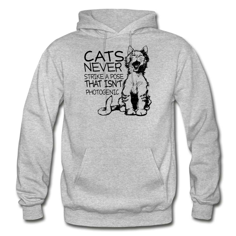 Cats - Photogenic - Black - Gildan Heavy Blend Adult Hoodie - heather gray