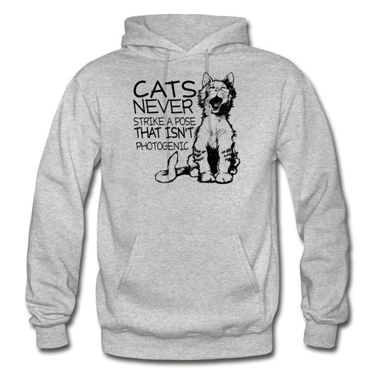 Cats - Photogenic - Black - Gildan Heavy Blend Adult Hoodie - heather gray