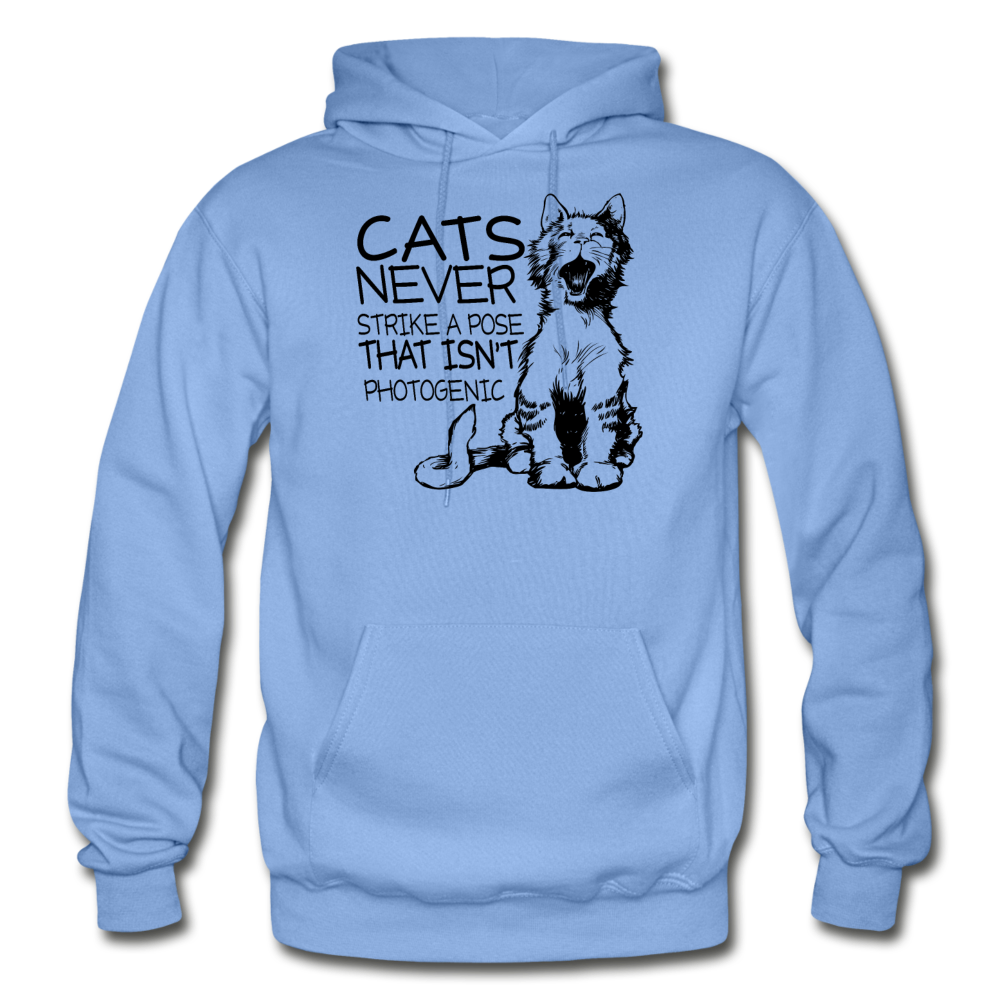 Cats - Photogenic - Black - Gildan Heavy Blend Adult Hoodie - carolina blue