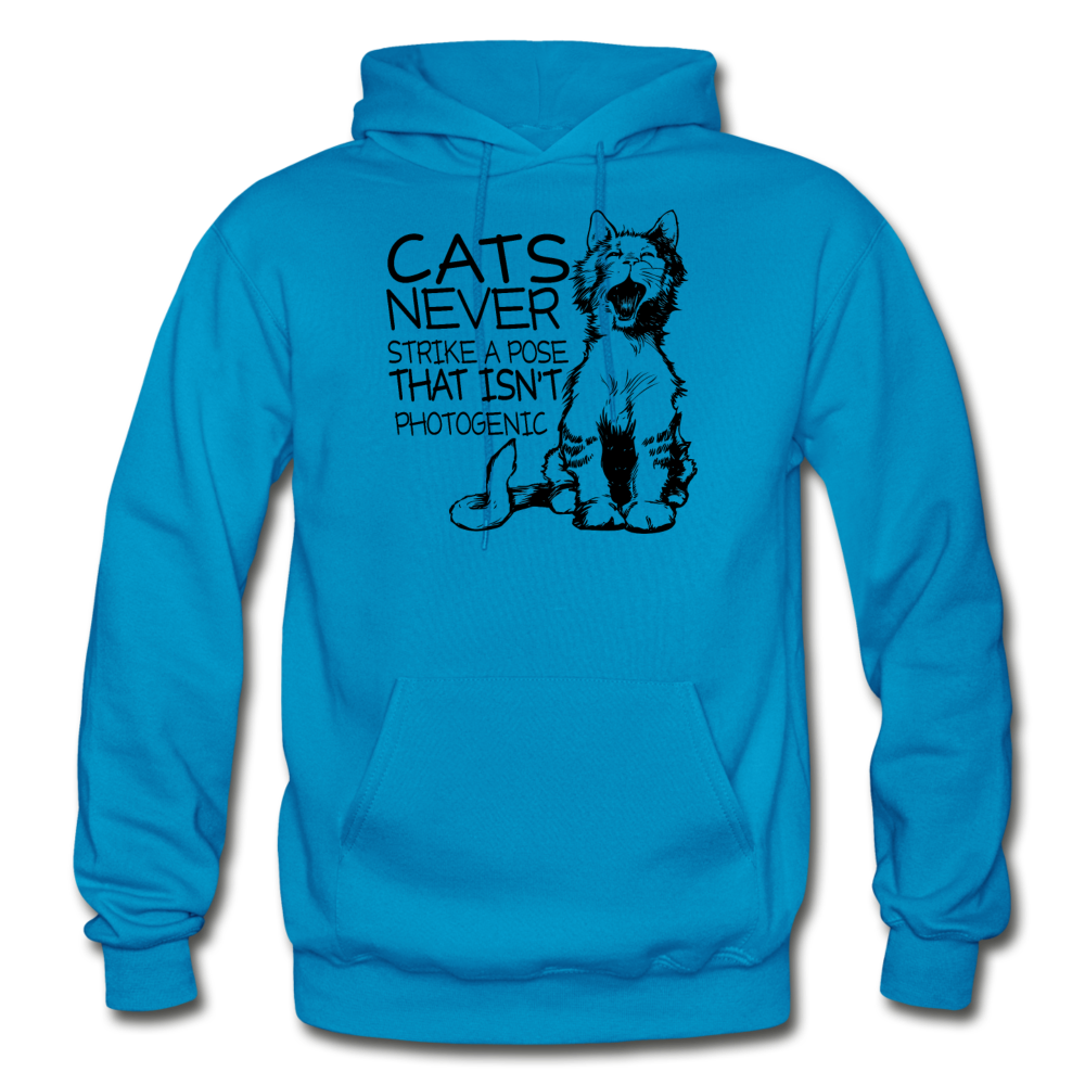 Cats - Photogenic - Black - Gildan Heavy Blend Adult Hoodie - turquoise