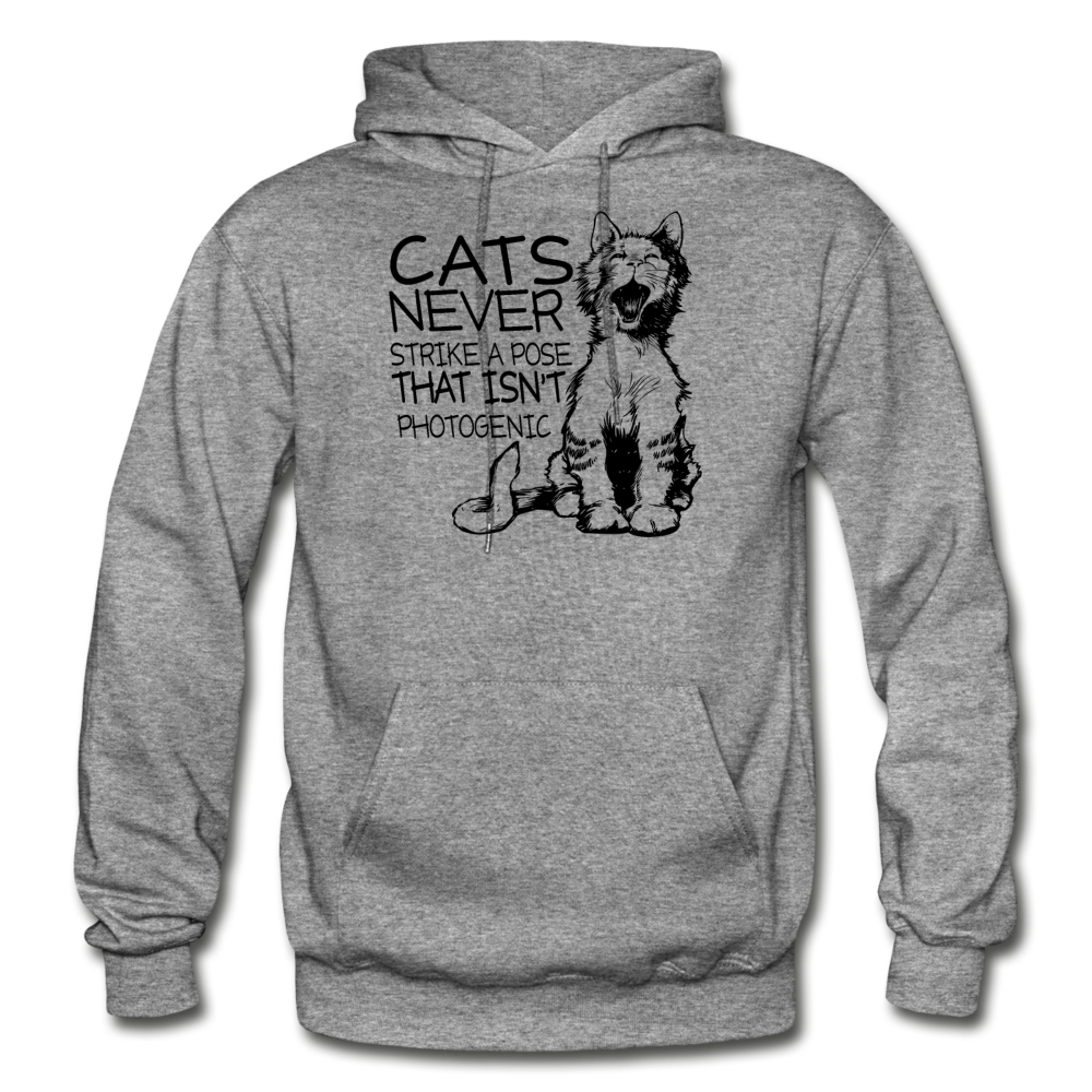 Cats - Photogenic - Black - Gildan Heavy Blend Adult Hoodie - graphite heather