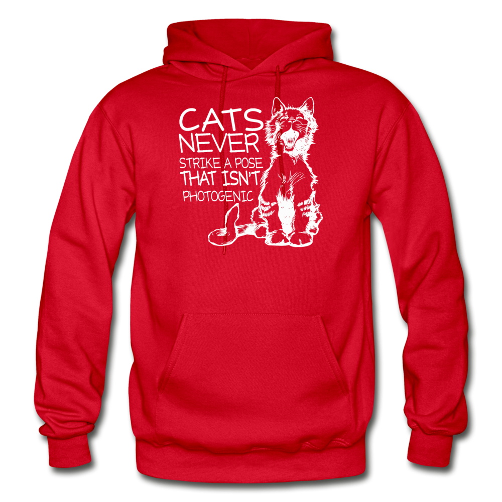 Cats - Photogenic - White - Gildan Heavy Blend Adult Hoodie - red