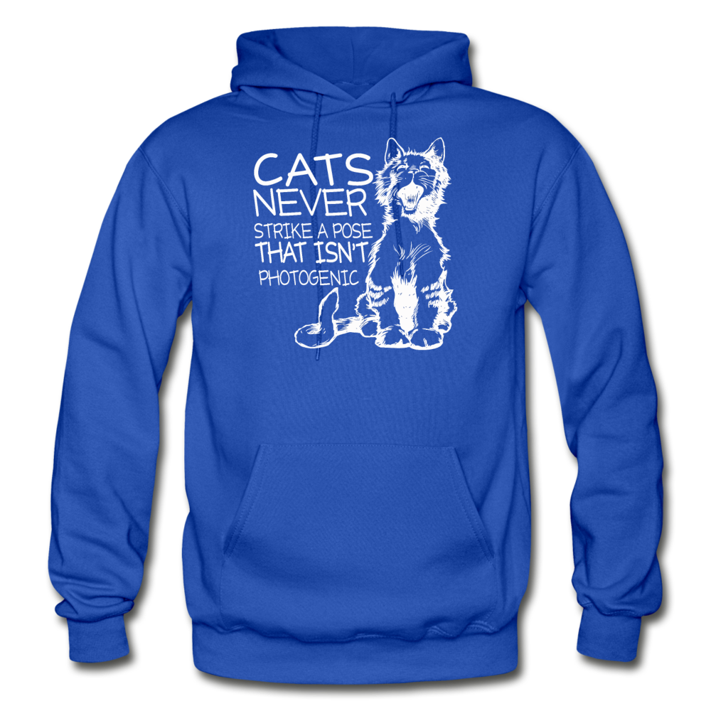 Cats - Photogenic - White - Gildan Heavy Blend Adult Hoodie - royal blue