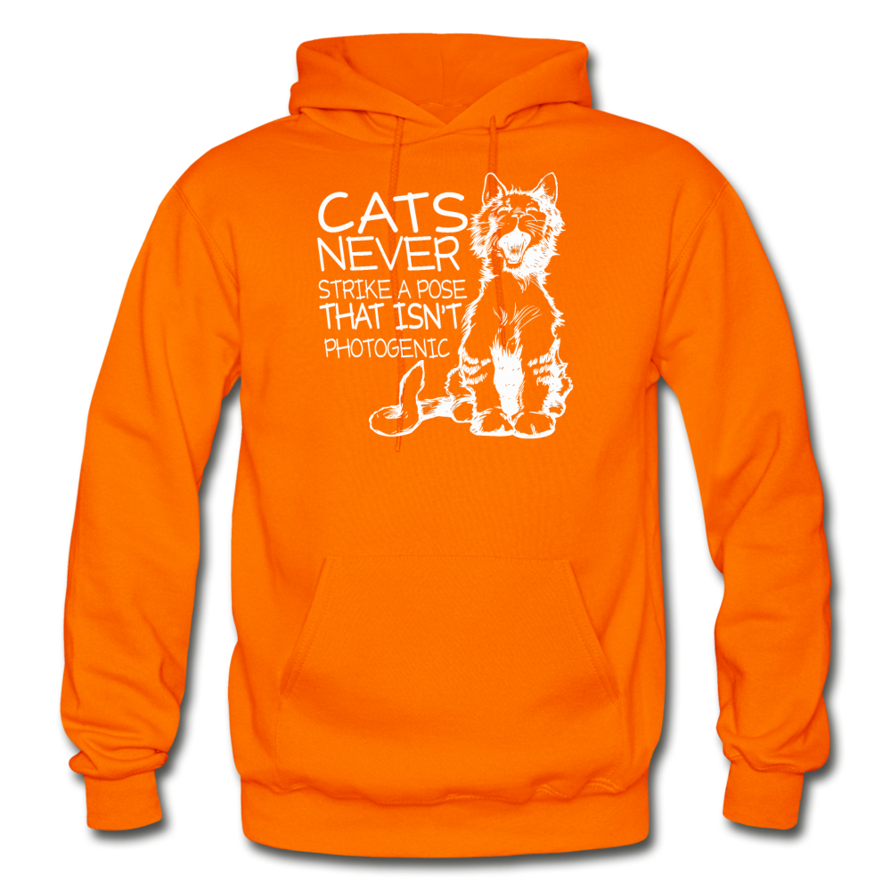 Cats - Photogenic - White - Gildan Heavy Blend Adult Hoodie - orange