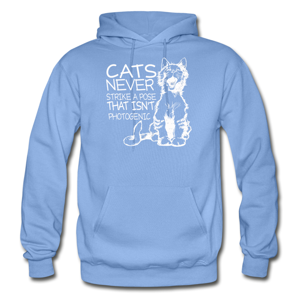 Cats - Photogenic - White - Gildan Heavy Blend Adult Hoodie - carolina blue