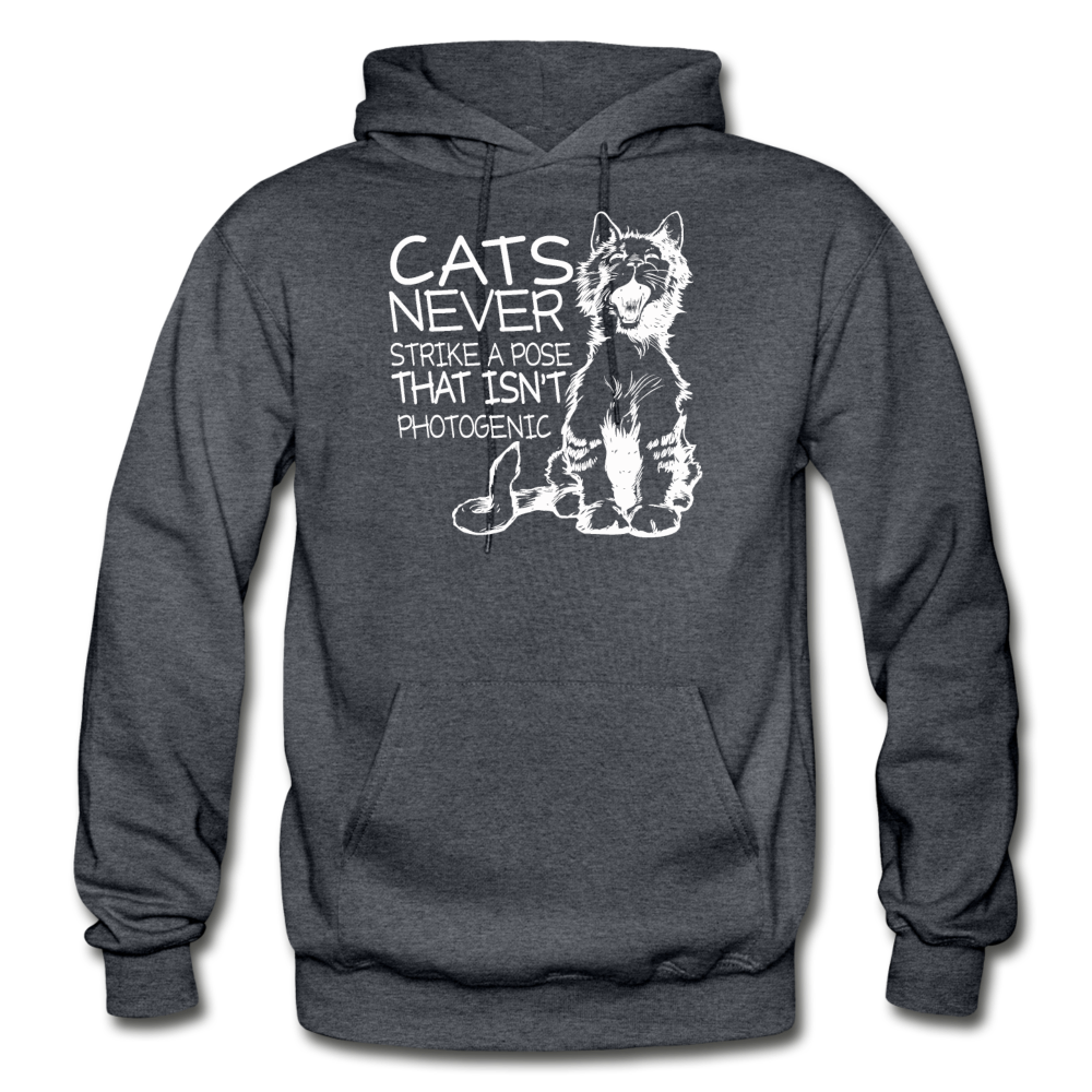 Cats - Photogenic - White - Gildan Heavy Blend Adult Hoodie - charcoal gray