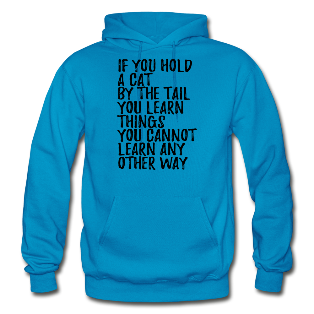 Hold A Cat By The Tail - Black - Gildan Heavy Blend Adult Hoodie - turquoise