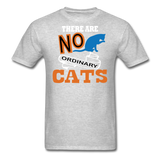 There Are No Ordinary Cats - Unisex Classic T-Shirt - heather gray