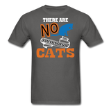 There Are No Ordinary Cats - Unisex Classic T-Shirt - charcoal