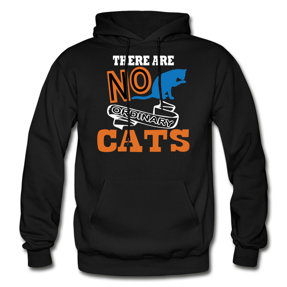 There Are No Ordinary Cats - Gildan Heavy Blend Adult Hoodie - black