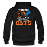 There Are No Ordinary Cats - Gildan Heavy Blend Adult Hoodie - black