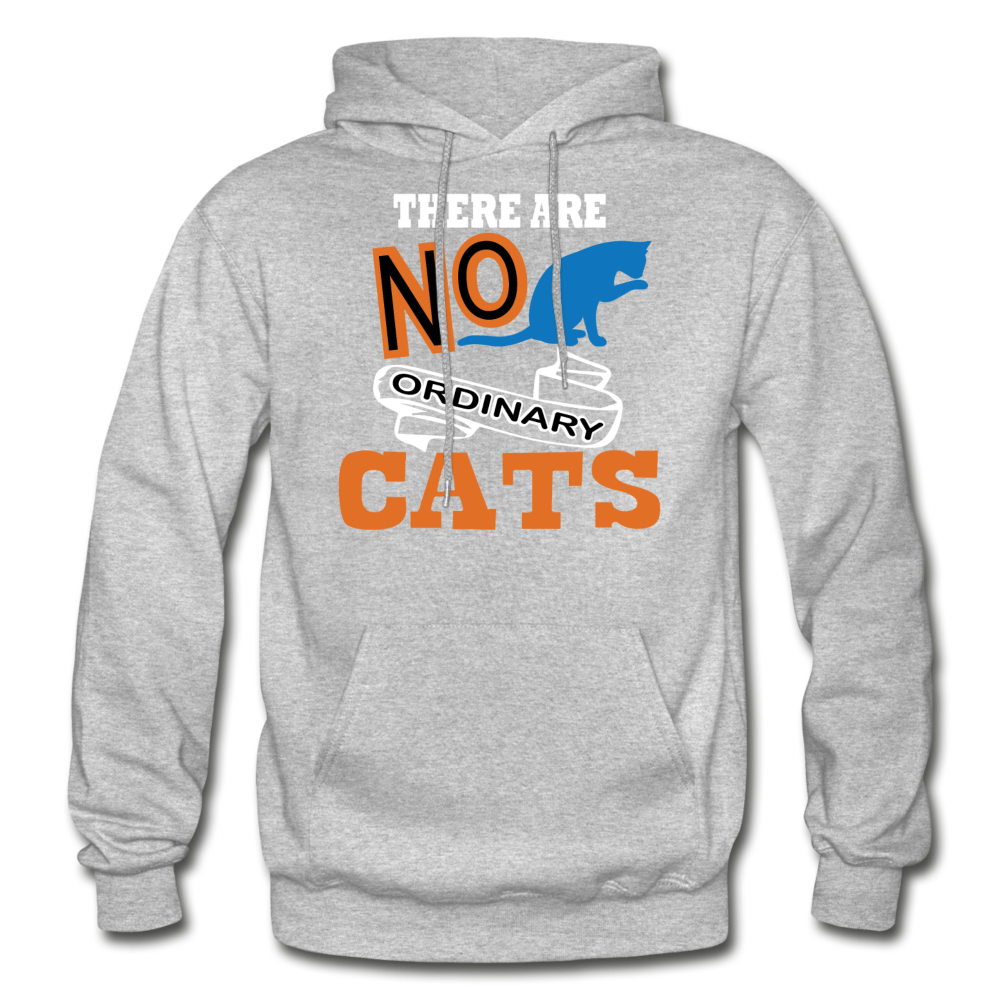 There Are No Ordinary Cats - Gildan Heavy Blend Adult Hoodie - heather gray