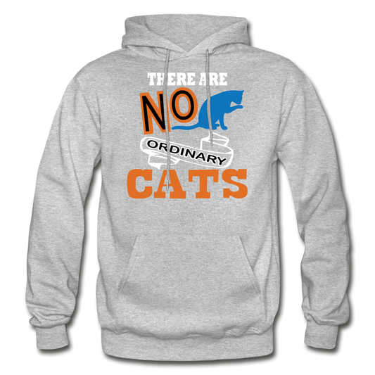 There Are No Ordinary Cats - Gildan Heavy Blend Adult Hoodie - heather gray