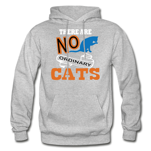 There Are No Ordinary Cats - Gildan Heavy Blend Adult Hoodie - heather gray
