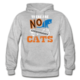 There Are No Ordinary Cats - Gildan Heavy Blend Adult Hoodie - heather gray