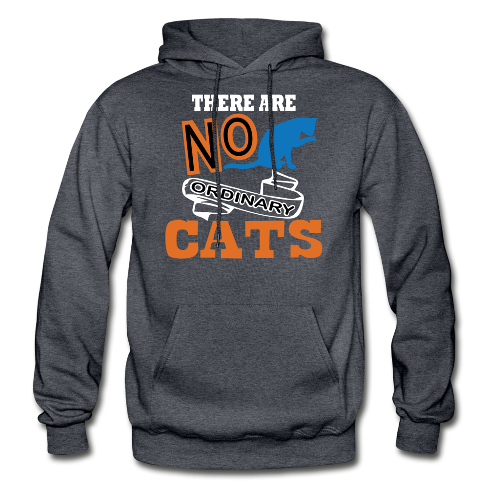 There Are No Ordinary Cats - Gildan Heavy Blend Adult Hoodie - charcoal gray