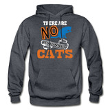 There Are No Ordinary Cats - Gildan Heavy Blend Adult Hoodie - charcoal gray